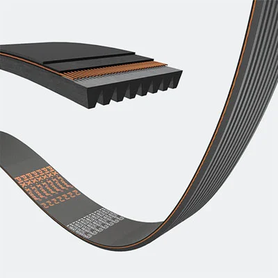 Keilrippenriemen.jpg_1