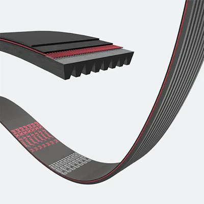 Keilrippenriemen.jpg_1